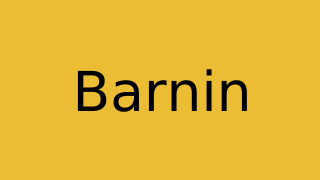 Barnin Thumbnail