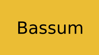 Bassum Thumbnail