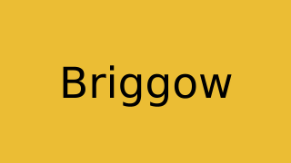 Briggow Thumbnail