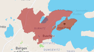 Buschvitz Thumbnail