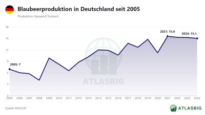 Blaubeerproduktion in Deutschland seit 2005 Thumbnail