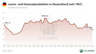 Lamm- und Hammelproduktion in Deutschland (seit 1961) Thumbnail