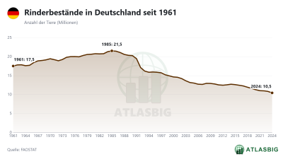 Rinderbestände in Deutschland seit 1961 Thumbnail