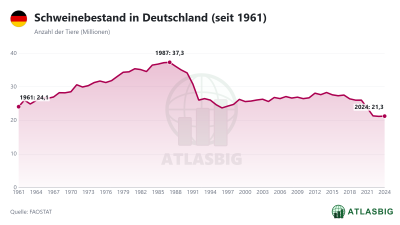 Schweinebestand in Deutschland (seit 1961) Thumbnail