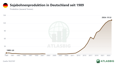 Sojabohnenproduktion in Deutschland seit 1989