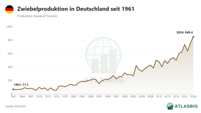 Zwiebelproduktion in Deutschland seit 1961 Thumbnail