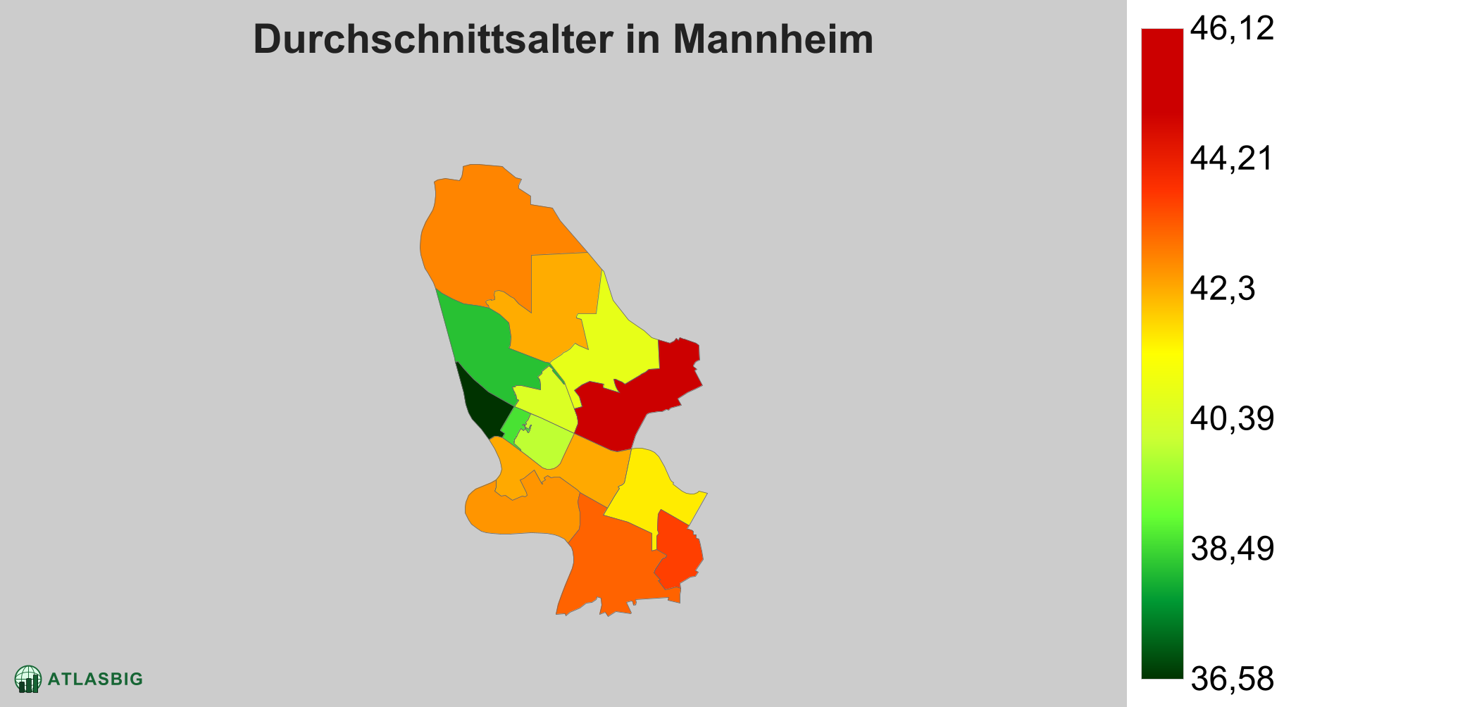 Durchschnittsalter in Mannheim: Wo die Stadt am jüngsten ist