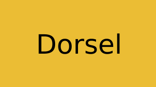 Dorsel Thumbnail