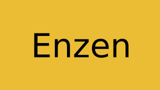 Enzen Thumbnail
