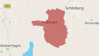 Fiefbergen Thumbnail