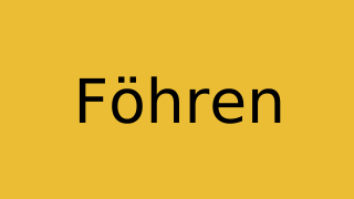 Föhren Thumbnail