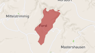 Forst (Hunsrück) Thumbnail