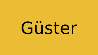 Güster Thumbnail