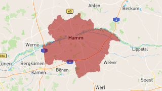 Hamm Thumbnail