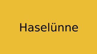 Haselünne Thumbnail