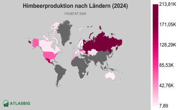 Himbeerproduktion nach Ländern 2026 Thumbnail