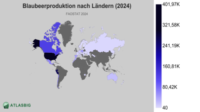 Blaubeerproduktion nach Ländern 2026 Thumbnail