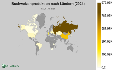 Buchweizenproduktion nach Ländern (2024) Thumbnail