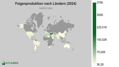Feigenproduktion nach Ländern (2024) Thumbnail