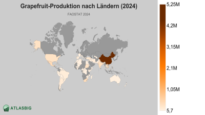 Grapefruit-Produktion nach Ländern (2024) Thumbnail