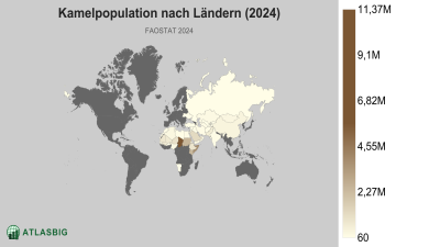 Kamelpopulation nach Ländern 2026