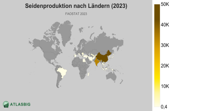 Seidenproduktion nach Ländern (2023) Thumbnail