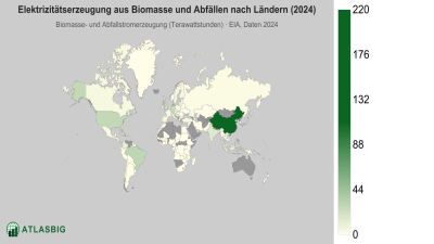 Elektrizitätserzeugung aus Biomasse und Abfällen nach Ländern 2026 Thumbnail