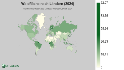 Waldfläche nach Ländern 2026 Thumbnail