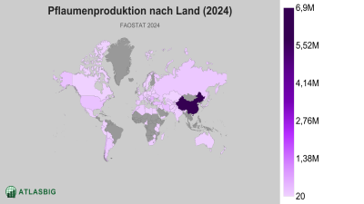 Pflaumenproduktion nach Land 2026 Thumbnail