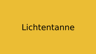 Lichtentanne Thumbnail
