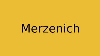 Merzenich Thumbnail