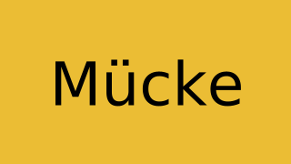 Mücke Thumbnail
