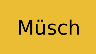 Müsch Thumbnail