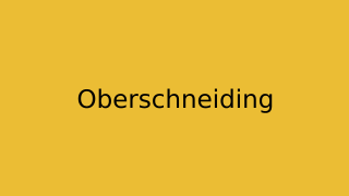 Oberschneiding Thumbnail