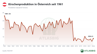 Kirschenproduktion in Österreich seit 1961