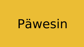 Päwesin Thumbnail