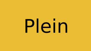 Plein Thumbnail