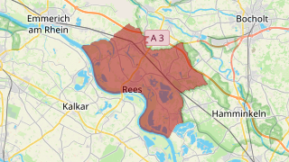 46459 - Rees Thumbnail