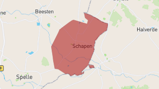 Schapen Thumbnail
