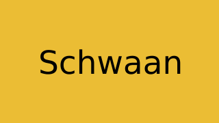Schwaan Thumbnail