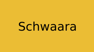 Schwaara Thumbnail