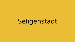 Seligenstadt Thumbnail