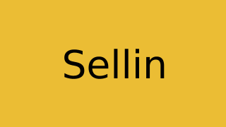 Sellin Thumbnail