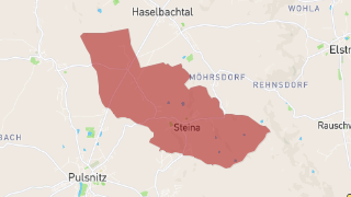 Steina Thumbnail