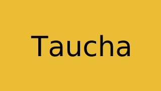 Taucha Thumbnail