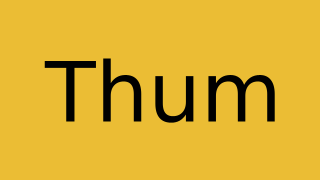 Thum Thumbnail