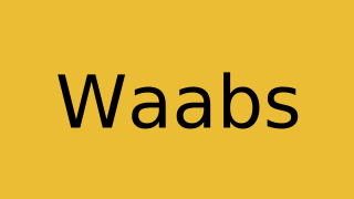 Waabs Thumbnail