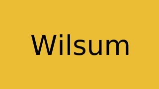 Wilsum Thumbnail