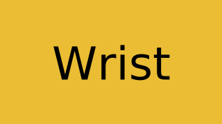 Wrist Thumbnail
